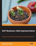 Image of : SAP Business One Implementation